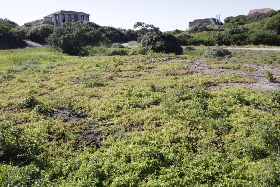 Commercial Property for Sale in Paradise Beach Eastern Cape